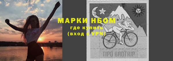 гашик Арсеньев