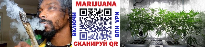 Шишки марихуана OG Kush  Старый Крым 